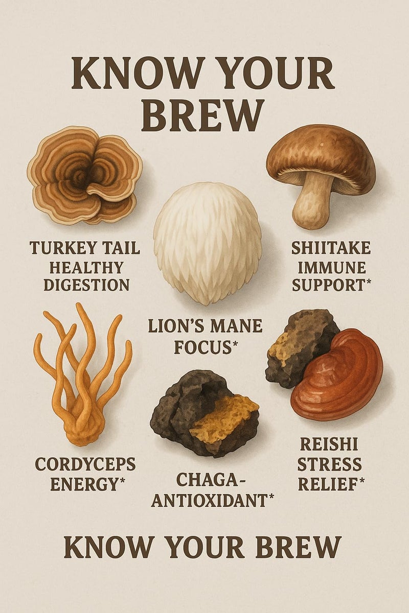 Essence & Rituals Mushroom Coffee Blend- Decaffeinated/Caffeinated Instant Coffee with Lion's Mane, Reishi, Chaga, Cordyceps- Gut, Brain, Focus & Energy Support- 30 Servings (Decaffeinated) - Image 3